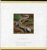 New Zealand 1984 Amphibians & Reptiles - original hand-painted artwork showing Otago Skink, as used to illustrate Benham silk first day cover (58c value), mounted on board 3.25" x 3.25" plus the matching Benham silk cover, a magni……Details Below