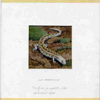 New Zealand 1984 Amphibians & Reptiles - original hand-painted artwork showing Otago Skink, as used to illustrate Benham silk first day cover (58c value), mounted on board 3.25" x 3.25" plus the matching Benham silk cover, a magni……Details Below