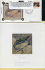 New Zealand 1984 Amphibians & Reptiles - original hand-painted artwork showing Great Barrier Skink, as used to illustrate Benham silk first day cover (24c value), mounted on board 3.25" x 3.25" plus the matching Benham silk cover,……Details Below