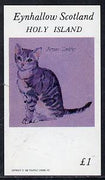 Eynhallow 1982 Brown Tabby Cat imperf souvenir sheet (£1 value) unmounted mint