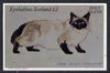 Eynhallow 1982 Colourpoint Cat imperf deluxe sheet (£2 value) unmounted mint