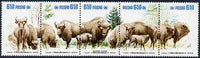 Poland 1981 Protection ofd European Bison se-tenant strip of 5 unmounted mint, SG 2758-62, Mi 2764-68