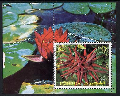 Fujeira 1972 Flowers m/sheet (Mi BL 135A) cto used