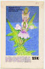 Nigeria 1987 Flowers - original hand-painted artwork for 25k value (Acanthus) by Francis Isibor on card 5" x 8.5" endorsed C1