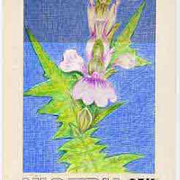 Nigeria 1987 Flowers - original hand-painted artwork for 25k value (Acanthus) by Francis Isibor on card 5" x 8.5" endorsed C1