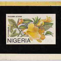 Nigeria 1986 Nigerian Life (?) - original hand-painted artwork showing Tecoma Stans (Flower) by NSP&MCo artist (possibly intended for the definitive issue) on board 6" x 4" with various pencil notations