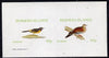 Bernera 1982 Birds #08 (Wagtail & Dove) imperf,set of 2 values (40p & 60p) unmounted mint