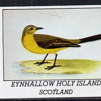 Eynhallow 1982 Yellow Wagtail imperf souvenir sheet (£1 value) unmounted mint