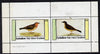 Eynhallow 1982 Thrushes perf,set of 2 values (40p & 60p) unmounted mint
