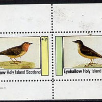 Eynhallow 1982 Thrushes perf,set of 2 values (40p & 60p) unmounted mint