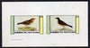 Eynhallow 1982 Thrushes imperf,set of 2 values (40p & 60p) unmounted mint