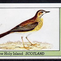 Eynhallow 1982 Thrush imperf souvenir sheet (£1 value) unmounted mint