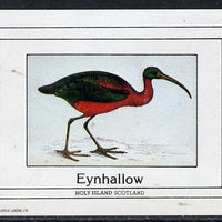 Eynhallow 1982 Waders #3 imperf deluxe sheet (£2 value) unmounted mint