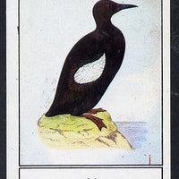 Bernera 1982 Sea Birds imperf souvenir sheet (£1 value) unmounted mint