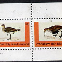 Eynhallow 1982 Waders #4 perf,set of 2 values (40p & 60p) unmounted mint
