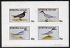 Staffa 1981 Sea Birds #01 imperf,set of 4 values (10p to 75p) unmounted mint