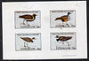 Eynhallow 1981 Waders #2 imperf,set of 4 values (10p to 75p) unmounted mint