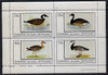 Eynhallow 1981 Ducks #1 perf,set of 4 values (10p to 75p) unmounted mint