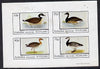Eynhallow 1981 Ducks #1 imperf,set of 4 values (10p to 75p) unmounted mint