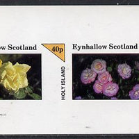 Eynhallow 1982 Roses imperf,set of 2 values (40p & 60p) unmounted mint