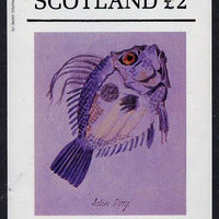 Staffa 1982 Fish #07 (John Dory) imperf deluxe sheet (£2 value) unmounted mint