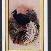 Bernera 1982 Pheasant imperf souvenir sheet (£1 value) unmounted mint