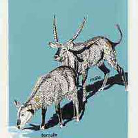 Nigeria 1984 Nigerian Wildlife - original hand-painted artwork for 10k value (Waterbucks) by NSP&MCo Staff Artist Olukoya Ogunfowora on card 5" x 8.5" endorsed A7
