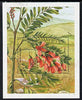 Afghanistan 1985 'Argentina 85' Stamp Exhibition (Flowers) perf m/sheet SG MS 1043