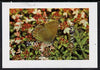 Sakhalin Isle 1997 Butterflies perf souvenir sheet