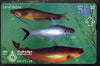 Telephone Card - Thaliand 50 baht 'phone card showing 3 species of fish