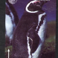 Telephone Card - Falkland Islands £10 'phone card showing the Penguin (Cable & Wireless)