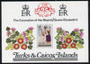 Turks & Caicos Islands 1978 QE2 Coronation 25th Anniversary m/sheet unmounted mint, SG MS 498