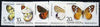 Russia 1986 Butterflies and Moths set of 5 unmounted mint, SG 5632-36, Mi 5584-88*