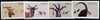 South West Africa 1980 Antelope set of 4 unmounted mint, SG 345-48