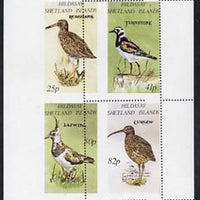 Shetland Islands 1995 Birds perf set of 4 with perforations dramatically misplaced, a superb variety, unmounted mint