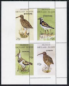 Shetland Islands 1995 Birds perf set of 4 with perforations dramatically misplaced, a superb variety, unmounted mint