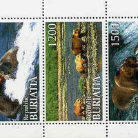 Buriatia Republic 1996 Bears perf set of 5 values unmounted mint