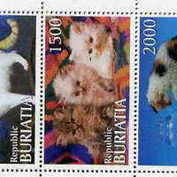 Buriatia Republic 1996 Domestic Cats perf set of 5 values unmounted mint