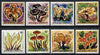 Rwanda 1980 Mushrooms perf set of 8 unmounted mint, SG 988-95*