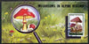 Booklet - North Korea 1995 Fungi in Alpine Regions 3 won booklet containing pane of 10 x 30 jons