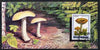 Booklet - North Korea 1995 Fungi in Alpine Regions 4 won booklet containing pane of 10 x 40 jons