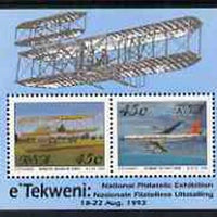 South Africa 1993 Aviation Philatelic Foundation m/sheet unmounted mint