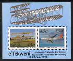 South Africa 1993 Aviation Philatelic Foundation m/sheet unmounted mint