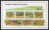 Sri Lanka 1990 Endemic Fish of Sri Lanka m/sheet containing set of 4 unmounted mint, SG MS 1137