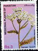 Pakistan 1996 Medicinal Plants 3R Yarrow (Achillea mellofolium) unmounted mint SG 1010