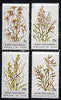Bophuthatswana 1981 Indigenous Grasses #1 set of 4 unmounted mint, SG 80-83