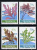 Transkei 1988 Seaweed set of 4 unmounted mint, SG 213-16*
