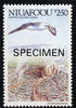 Tonga - Niuafo'ou 1988 Albatros & Kapoho Volcano 2p50 opt'd SPECIMEN from Islands of Polynesia set, unmounted mint as SG 111*
