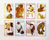Dhufar 1974 Cats complete imperf set of 8 values unmounted mint