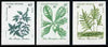 French Polynesia 1986 Medicinal Plants #1 imperf set of 3 from limited printing unmounted mint, as SG 492-94*